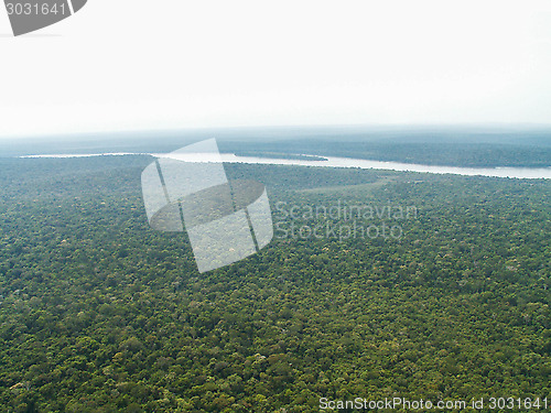 Image of Iguazu Falls Rainforest