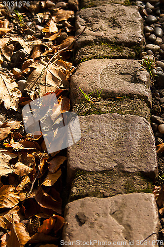 Image of Four Stone Autumnal
