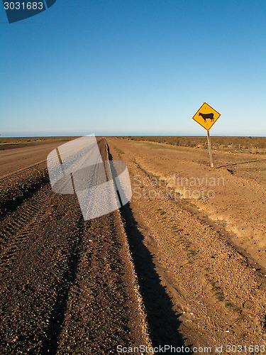 Image of Endless Dirt Road With Cow Sign