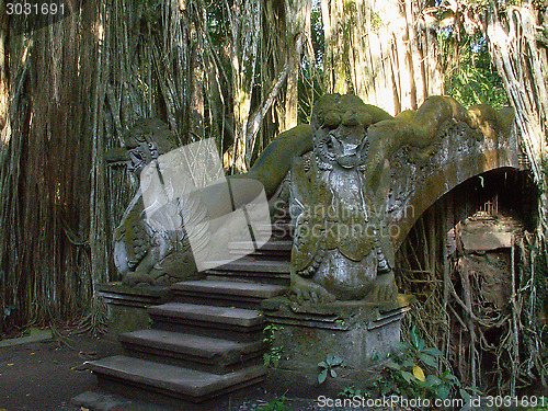 Image of Dragon Bridge And Trees