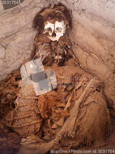 Image of Decomposing Body In Open Grave