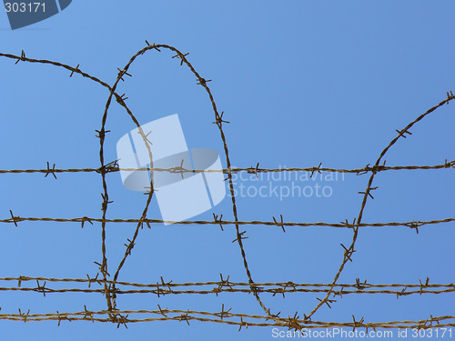 Image of Barbwire on the sky
