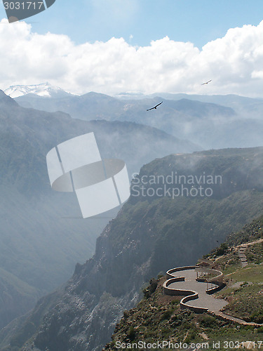 Image of Condors Over Colca Canyon
