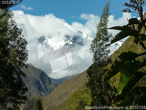 Image of Cloudy Mountain Framed By Plants