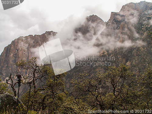 Image of Cloud And Forest Mountain