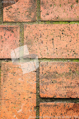 Image of Bricks Up Close