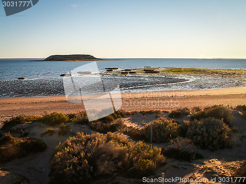 Image of Beach With Grasses