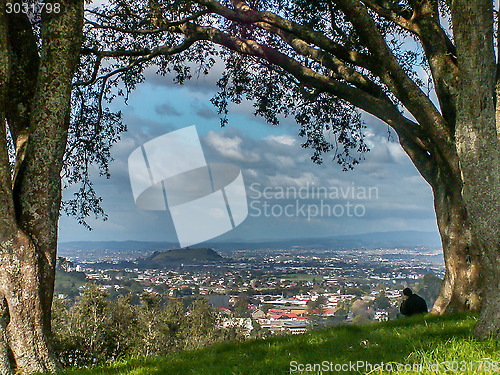 Image of Auckland City View Framed