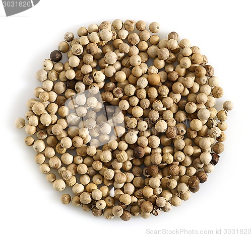 Image of white pepper
