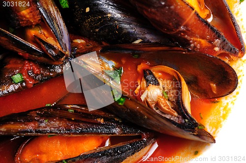 Image of Mussels in italian rustic style