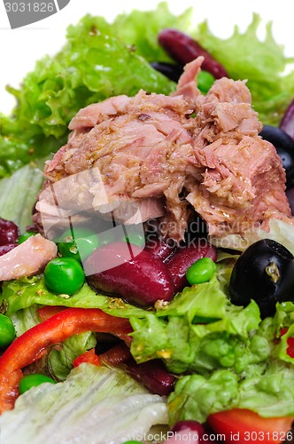 Image of Tuna and vegetable salad