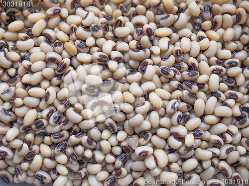 Image of Beans salad