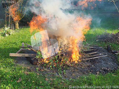 Image of Burning fire