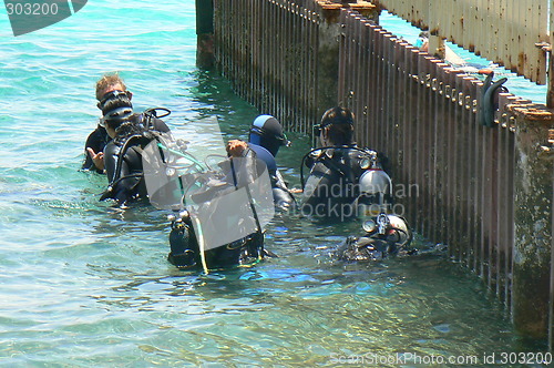 Image of Group of scuba divers