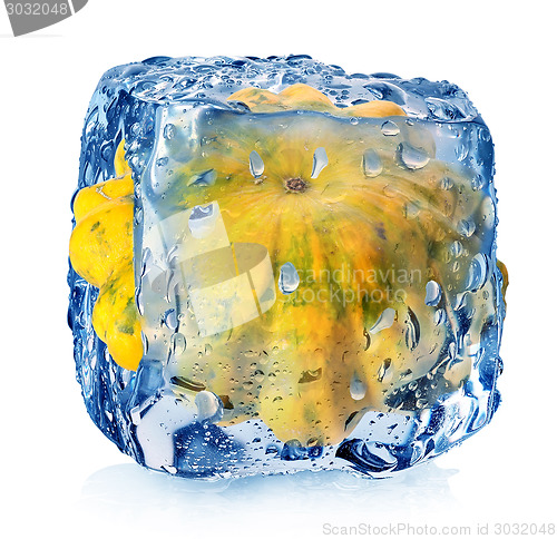 Image of Gourd in ice cube