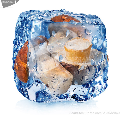 Image of Mushrooms in ice cube