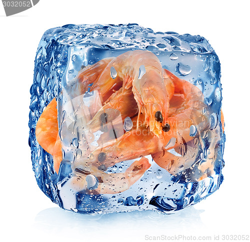 Image of Shrimps in ice cube