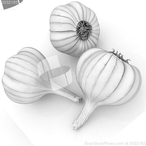 Image of Head of garlic