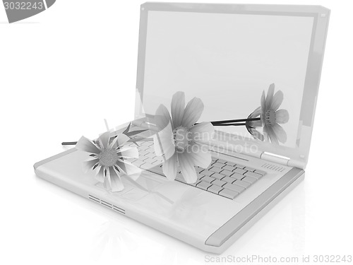 Image of cosmos flower on laptop