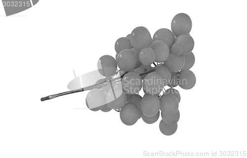 Image of Grapes