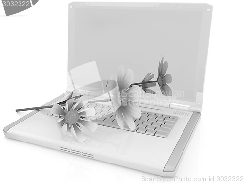 Image of cosmos flower on laptop