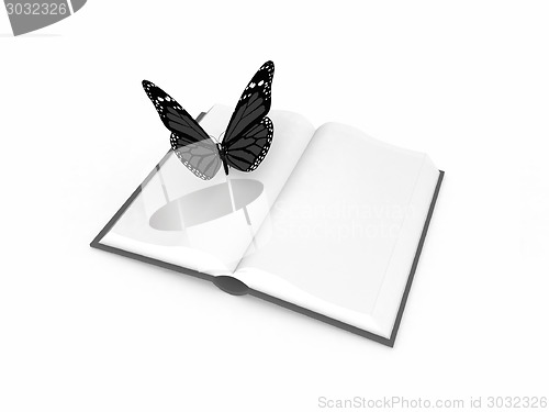 Image of butterfly on a book