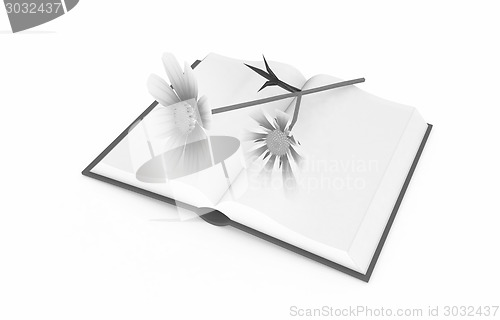 Image of Wonderful flower cosmos and book