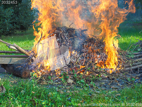 Image of Burning fire