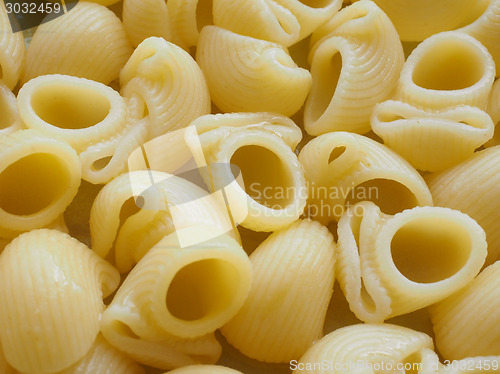 Image of Lumache pasta food