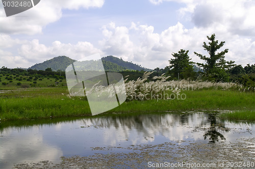 Image of Rural Landscape