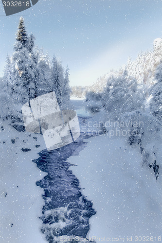 Image of Winter wonderland