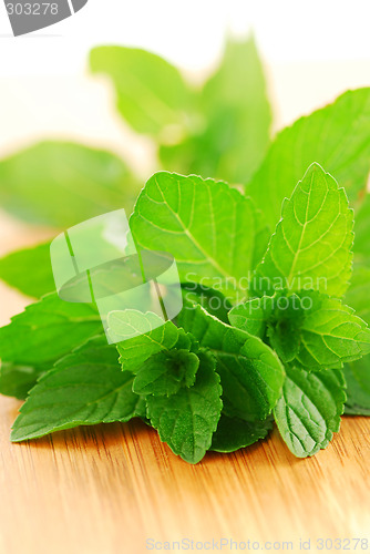 Image of Mint sprigs