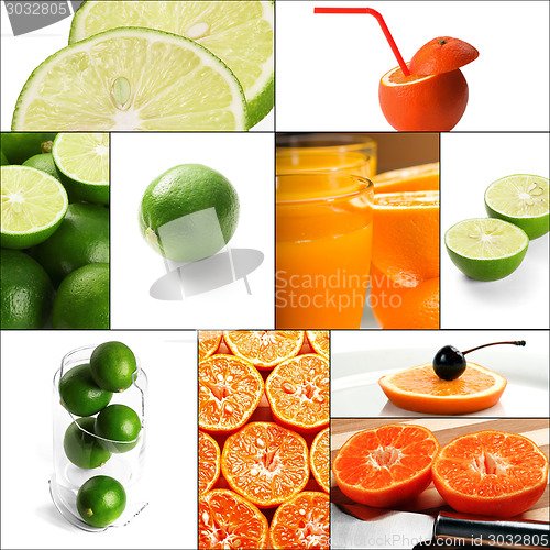 Image of citrus fruits collage