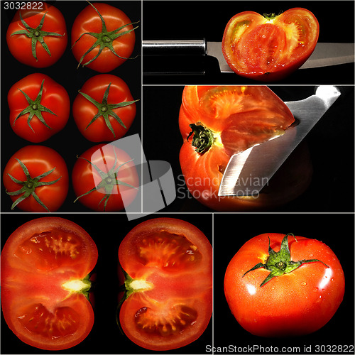 Image of tomatoes collage