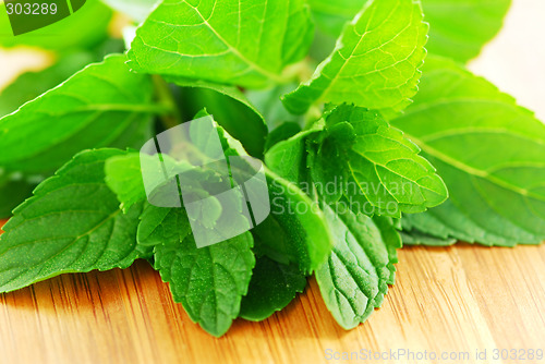 Image of Mint sprigs