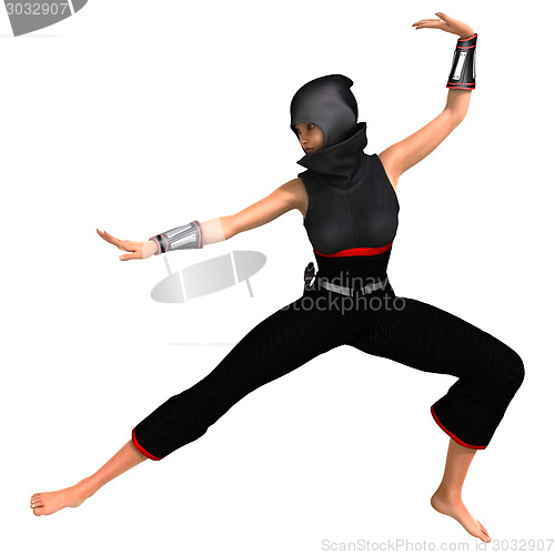 Image of Ninja