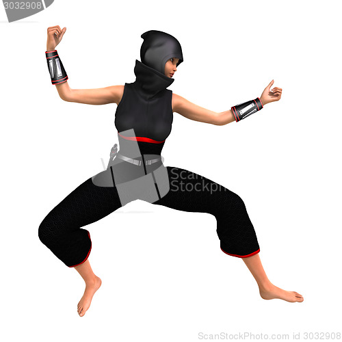 Image of Ninja