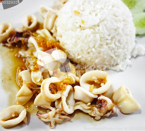 Image of squids