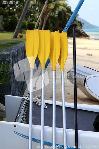 Image of Yellow paddle boat