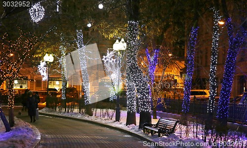 Image of The lights in winter park