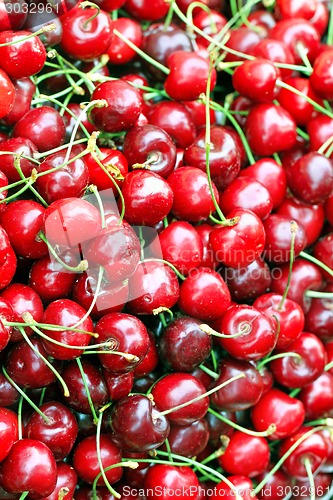 Image of texture of the cherry is photographed