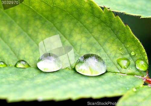 Image of water drop