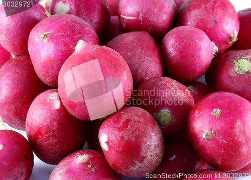 Image of vegetable radish