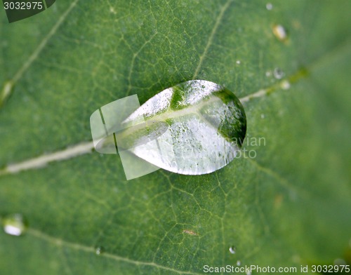 Image of water drop