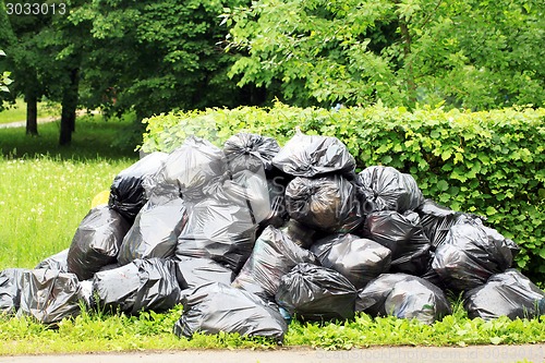 Image of trash bags