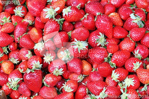 Image of texture of a strawberry photographed