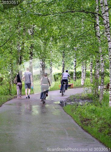 Image of road in the woods