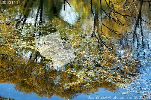 Image of reflections in the water