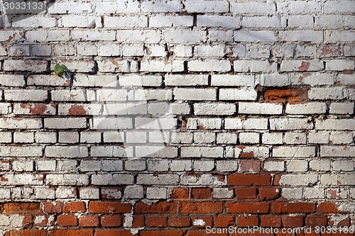 Image of texture of white brick