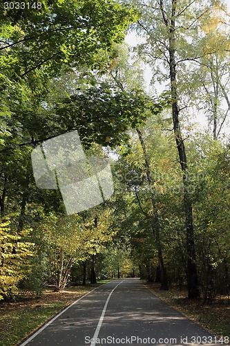 Image of autumn leaves